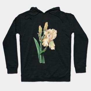 Iris Hoodie